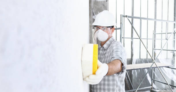  Asbury Lake, FL Mold Removal Services Pros