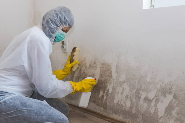 Best Water Damage & Mold Remediation  in Asbury Lake, FL